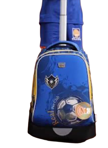 GLOSSY BIRD TROLLEY BAG WITH PENCIL CASE (GB5256T-1)